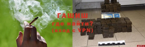 прущие грибы Алзамай