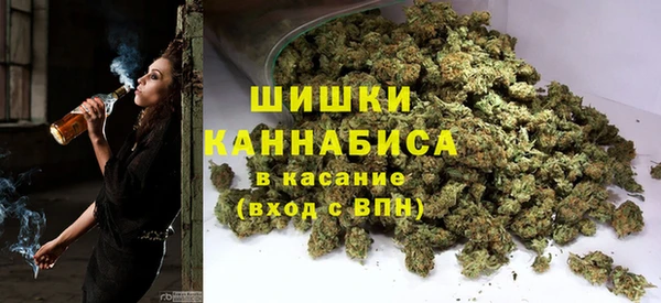 прущие грибы Алзамай