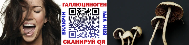 Галлюциногенные грибы Psilocybine cubensis  цены   ОМГ ОМГ маркетплейс  Карачаевск 