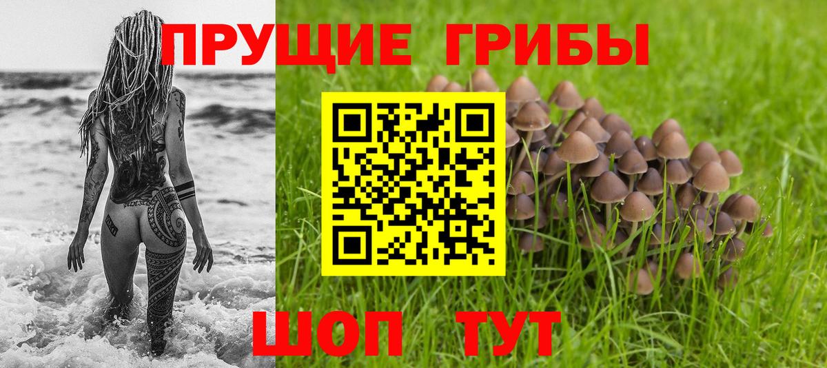 Псилоцибиновые грибы MAGIC MUSHROOMS Карачаевск