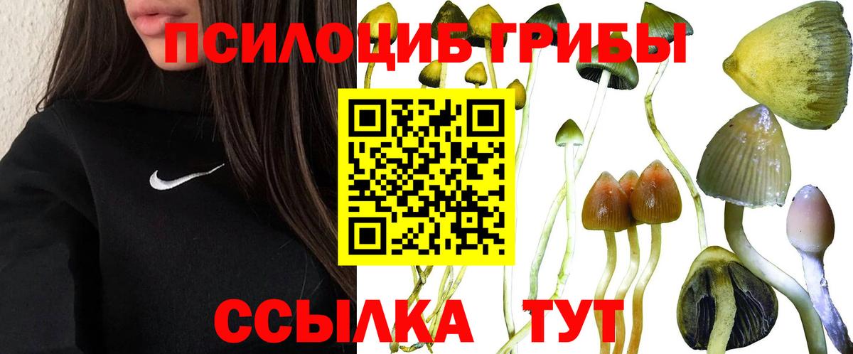 Галлюциногенные грибы Magic Shrooms  Вход с VPN  Карачаевск 